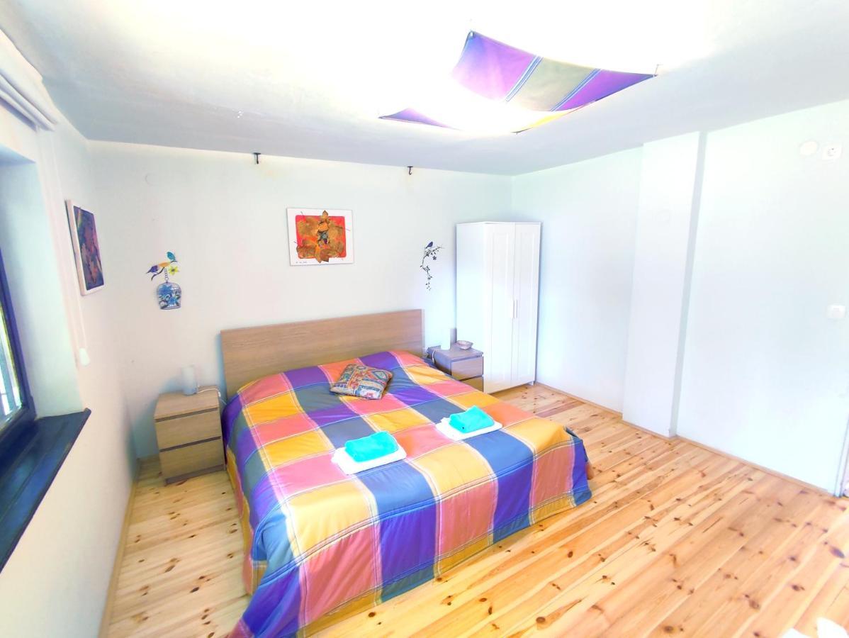 Apartments Eco Forest Resort Раковица Экстерьер фото