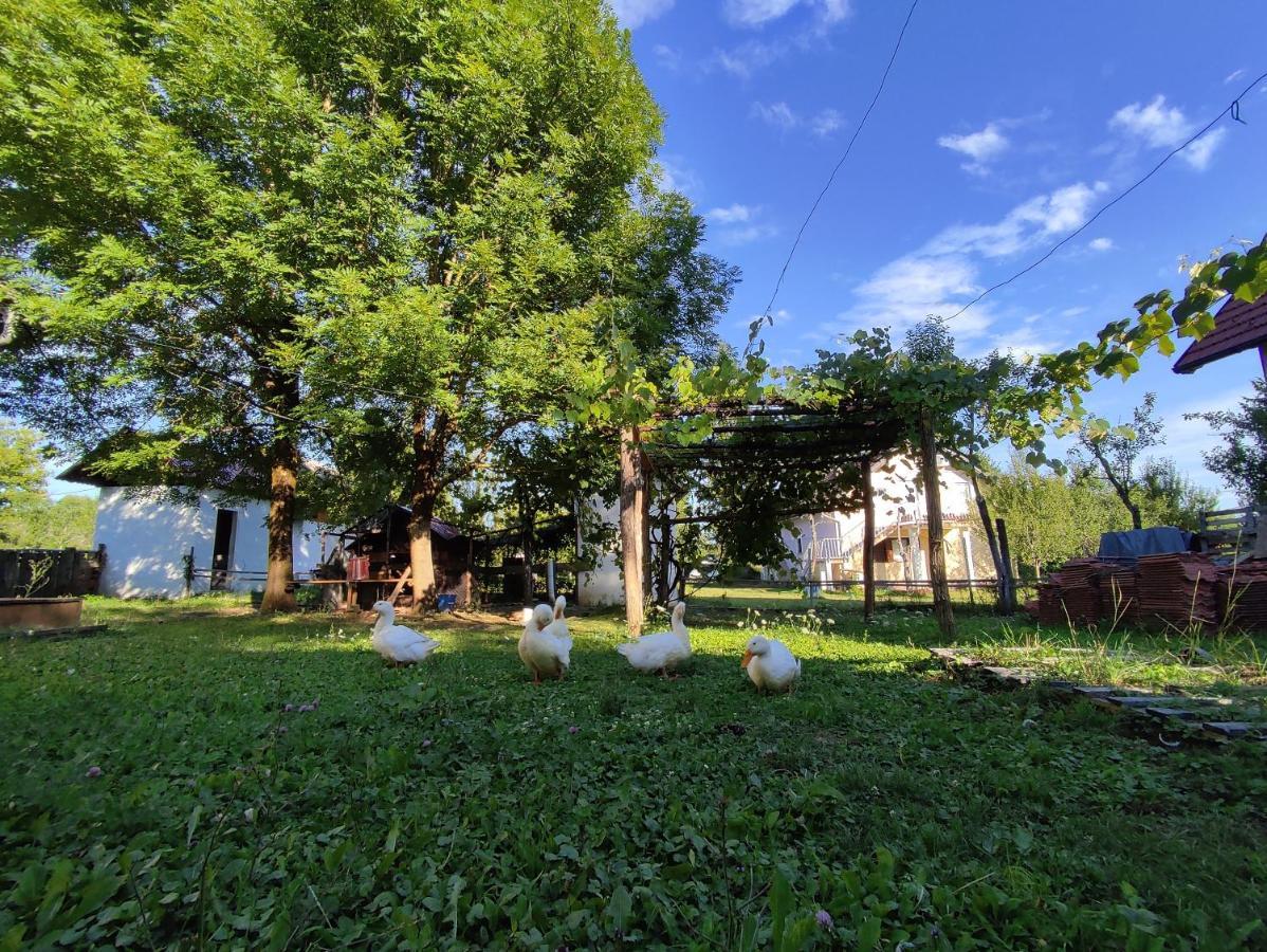 Apartments Eco Forest Resort Раковица Экстерьер фото